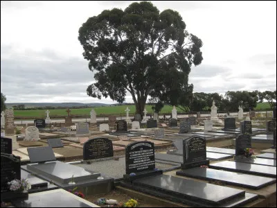 J'espère que vous n'allez pas répondre une bêtise à cette question : Où se trouve située la ville de Cambrai ?