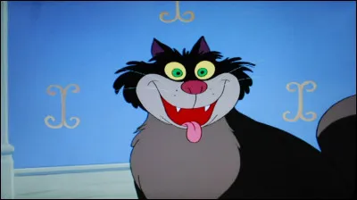 De quelle couleur est leur chat ?