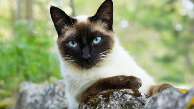 Son espérance de vie est de :