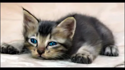 Ton clan ne va pas bien, que fais-tu ?