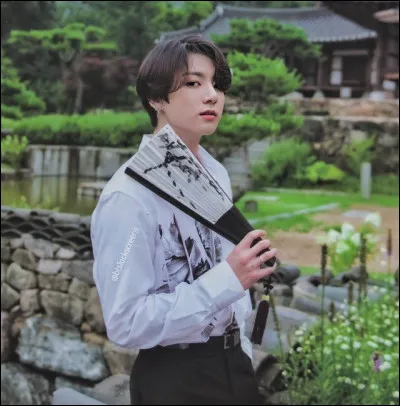 Quel est ce membre ?