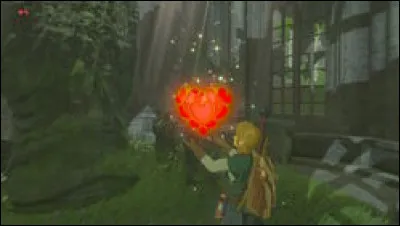 Combien peut-on avoir de cœurs ?