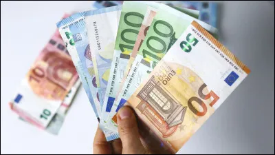 Comment se nomme l'organisation des pays qui utilisent l'euro ?