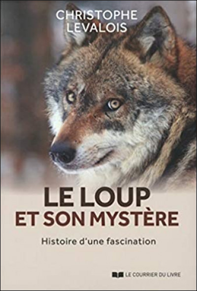 Comment sappelle le loup dans le film ?