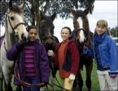 À quoi correspond cette photo ?