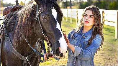 À quoi correspond cette photo ?