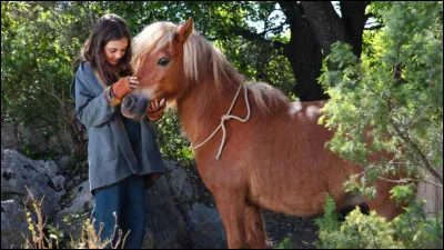 À quoi correspond cette photo ?