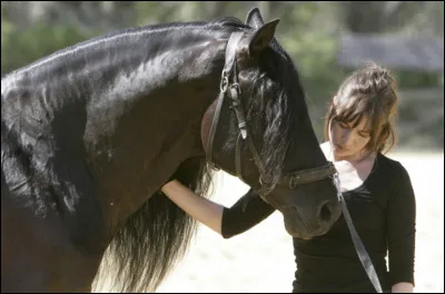 À quoi correspond cette photo ?