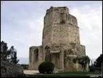 Quelle ville franaise abrite la Maison Carre et la Tour Magne ?