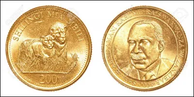 S comme Shilling : c'est la monnaie de plusieurs pays d'Afrique dont la / le ...