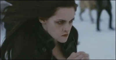 Y a-t-il eu une vrai bataille ?