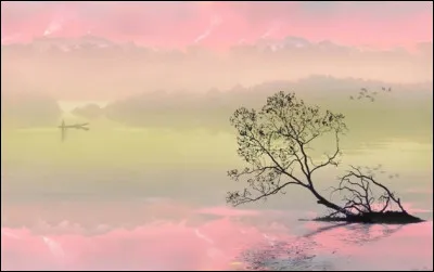 Vous pr&eacute;f&eacute;rez :