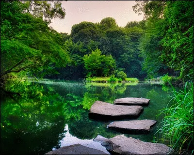 Vous &ecirc;tes plut&ocirc;t :