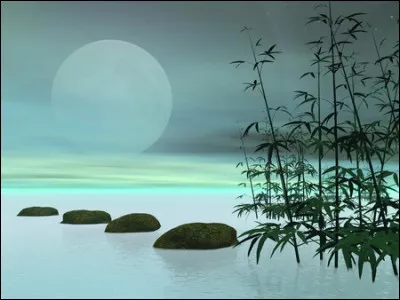 Dans la vie, on dit de vous que vous &ecirc;tes :