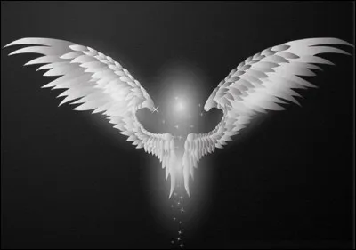 ''Si j'avais les ailes d'un ange
Je partirais pour Québec''

Qui est l'auteur de ces paroles extraites de la chanson ''Les ailes d'un ange'' ?