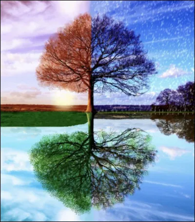 Pendant quelle saison est-tu né(e) ?