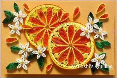 Dans quel fruit ont été coupées ces tranches ?