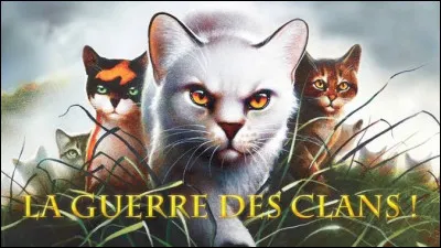 Ton chat préféré parmi ceux-là, est : 
(Attention spoiler !)