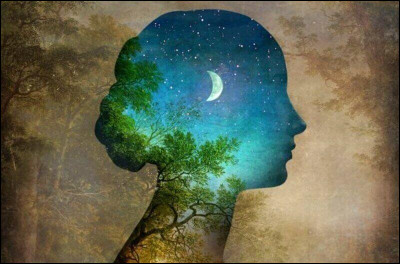 Que signifie la phrase "You can't understand how I'm feeling !" ?