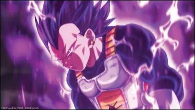 Comment sappelle la transformation de Vegeta qui ressemble à celle de Sangoku ?