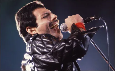 De quel(s) instrument(s) de musique jouait-il ?