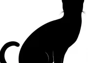 Quiz Races de chats (3)