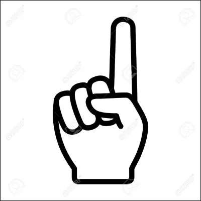 Si tu ne pouvais faire qu'une chose, tu...