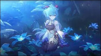 Que pensez-vous de la photo ci-dessus ?