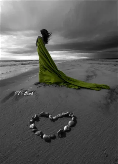 Dans quelle chanson de Graeme Allwright (écrite en anglais par Leonard Cohen) entend-on "C'est pourquoi je veux rester, je veux rester à ses côtés" ?