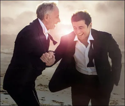 Quel est ce film sorti en 2019 où Fabrice Luchini et Patrick Bruel se partagent l'affiche ?