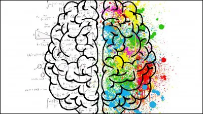 Quelle qualit&eacute; te correspond le plus ?