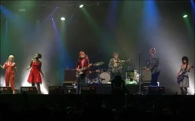 Musique : Quel groupe chante D-D-Don't stop the Beat ?