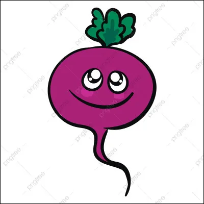 Dans la rubrique "votre banque", combien coûtent 100 radiz ?