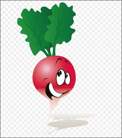 Si vous vous rendez sur Tipeee pour soutenir le site que vous préférez, les tarifs sont intéressants, combien de radiz vous sont offerts en contrepartie d'un don de 10 euros ?