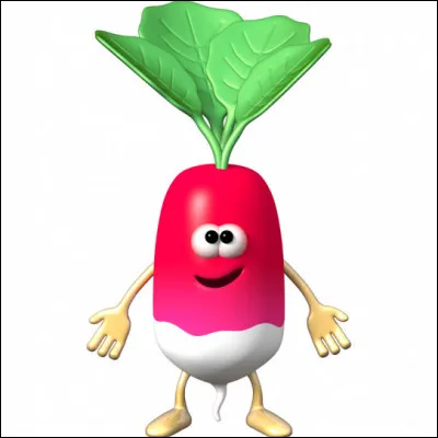 Et en contrepartie de votre générosité sur Tipeee, combien de radiz vous seront attribués contre un don de 50  ?