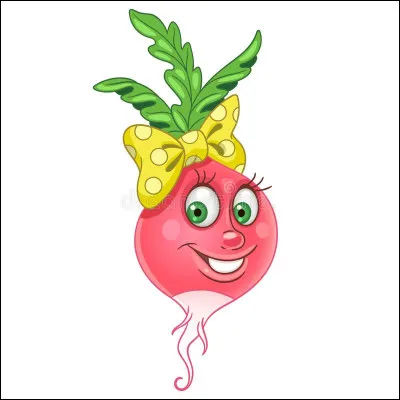 Si vous buzzez un quiz dans la catégorie "Culture générale" (la plus jouée), j'espère que vous êtes riches, combien de radiz allez-vous dépenser ?