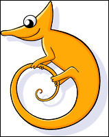 Quiz Site internet