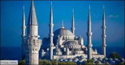 Cochez la monnaie de la Turquie !