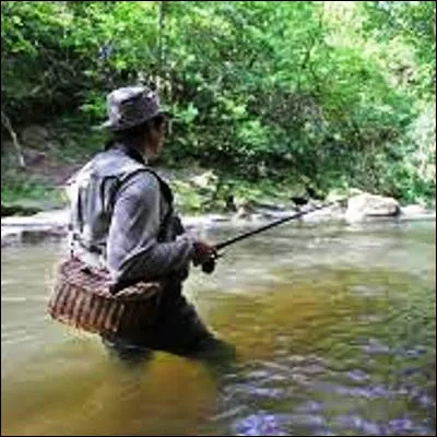 Selon l�expression, quel poisson d�eau douce taquine-t-on quand on p&ecirc;che en rivi&egrave;re ?