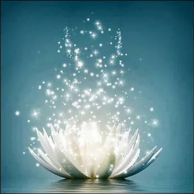 Si tu &eacute;tais un &ecirc;tre fantastique, que serais-tu ?