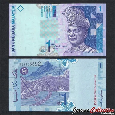 À Kuala Lumpur, j'ai raffolé du roti canai ; j'ai réglé avec :