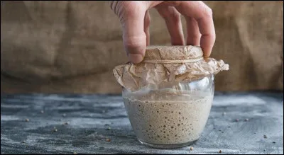 Que mesurait-on avec un pauque ?