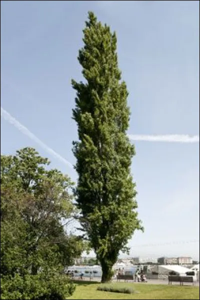 À qui appartenait le pouvoir dans une laocratie ?