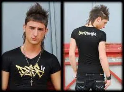 Quel mouvement musical associ&eacute; &agrave; une danse sp&eacute;cifique connait un &eacute;norme succ&egrave;s entre 2007 et 2008 en France ?