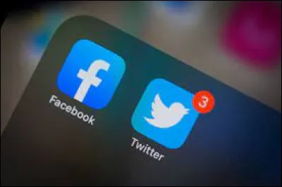 Quel r&eacute;seau social fait son apparition en 2004 ?