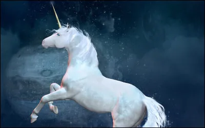 Quel est cet animal ?