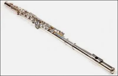 Quel instrument vois-tu ?