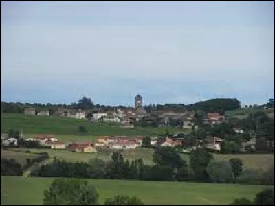 Village viticole de Bourgogne-Franche-Comté, dans le Haut-Mâconnais, Péronne se situe dans le département ...