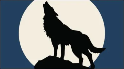 Quel est ton animal préféré ?