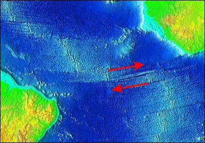 Cette image représente...